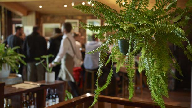 Cullen Wines - Image 1 Cullen Wines - Image 1